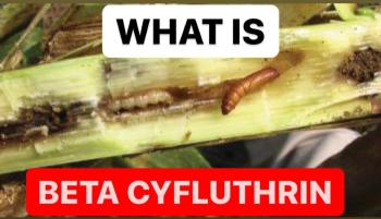 WHAT IS BETA CYFLUTHRIN | INSECTICIDE FORMULA | SUSPENSION CONCENTRATE ( SC )