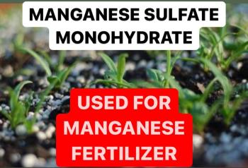MANGANESE SULFATE MONOHYDRATE USED FOR MANGANESE FERTILIZER