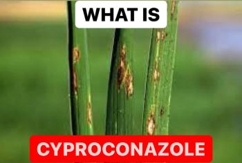 WHAT IS CYPROCONAZOLE | PROPERTIES OF CYPROCONAZOLE
