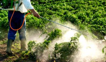 Ingredients of insecticide | Production of insecticide