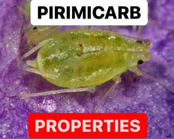 PIRIMICARB PROPERTIES | INSECTICIDE FORMULATIONS