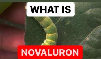 WHAT IS NOVALURON | PROPERTIES OF NOVALURON