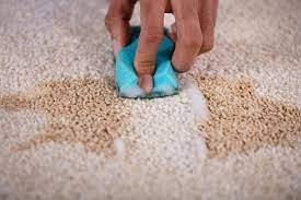 pasos para hacer champú líquido para lavar alfombras | Formulaciones