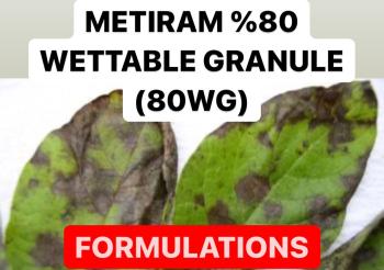 METIRAM % 80 WETTABLE GRANULE ( 80 WG ) FUNGICIDE PRODUCTION PROCESS