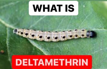 WHAT IS DELTAMETHRIN | DELTAMETHRIN PROPERTIES