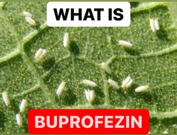 WHAT IS BUPROFEZIN | SUSPENSION CONCENTRATE ( SC ) INSECTICIDE