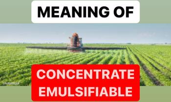 MEANING OF CONCENTRATE EMULSIFIABLE ( EC ) | INSECTICIDES
