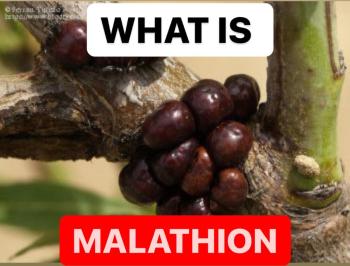 WHAT IS MALATHION | MALATHION PROPERTIES | INSECTICIDES