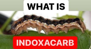 WHAT IS INDOXACARB | PROPERTIES OF INDOXACARB