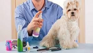 Production And Formulation of Dog And Cat Perfume Spray