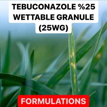 TEBUCONAZOLE % 25 WETTABLE GRANULE ( 25 WG ) | FUNGICIDE PRODUCTION PROCESS