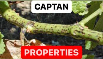 CAPTAN PROPERTIES | CAPTAN DEFINITION | FUNGICIDE