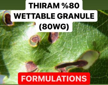 THIRAM % 80 WETTABLE GRANULE ( 80 WG ) | FUNGICIDE PRODUCTION PROCESS