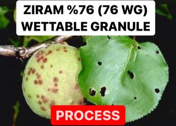 ZIRAM % 76  ( 76 WG ) WETTABLE GRANULE | FUNGICIDE MANUFACTURING PROCESS