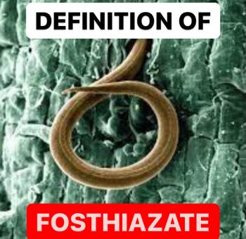 DEFINITION OF FOSTHIAZATE | FOSTHIAZATE PROPERTIES