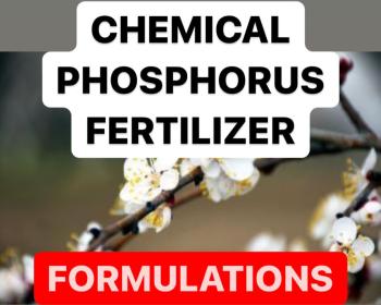HOW TO MAKE PHOSPHORUS FERTILIZER | FORMULATIONS