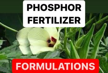 PRODUCTION OF PHOSPHOR FERTILIZERS | FORMULAS OF PHOSPHATE FERTILIZER