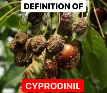 DEFINITION OF CYPRODINIL | PROPERTIES OF CYPRODINIL