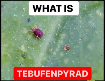 WHAT IS TEBUFENPYRAD | TEBUFENPYRAD PROPERTIES | INSECTICIDE