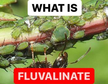 WHAT IS TAU FLUVALINATE | DEFINITION OF TAU FLUVALINATE