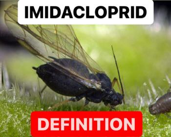 IMIDACLOPRID DEFINITION | IMIDACLOPRID SPECIFICATION