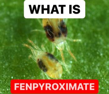WHAT IS FENPYROXIMATE | INSECTICIDE FORMULATIONS | SC