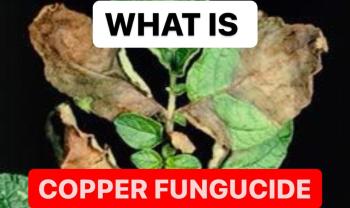 WHAT IS COPPER FUNGICIDE | EFFECTS OF COPPER FUNGICIDE