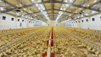 Production process of multi purpose disinfectants for chicken farm with formulations