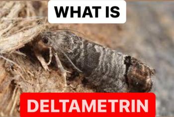 WHAT IS DELTAMETRIN | INSECTICIDE FORMULATIONS | PRODUCTION