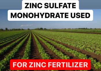 ZINC SULFATE MONOHYDRATE USED FOR ZINC FERTILIZER