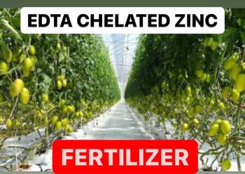 WHAT IS EDDTA CHELATED ZINC FERTILIZER | PROPERTIES