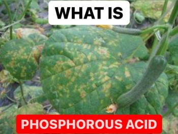 WHAT IS PHOSPHOROUS ACID | DEFINITION OF PHOSPHOROUS ACID
