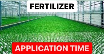 WHEN TO USE FERTILIZERS | HOW TO USE FERTILIZERS