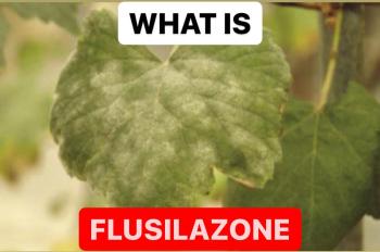 WHAT IS FLUSILAZOLE | FUNGICIDE FORMULATIONS