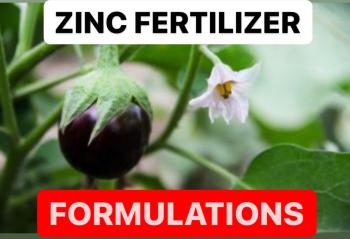 PRODUCTION OF ZINC FERTILIZER | FORMULATION OF ZINC FERTILIZER