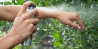 HOW TO MAKE INSECT REPELLENT SPRAY | FORMULAS
