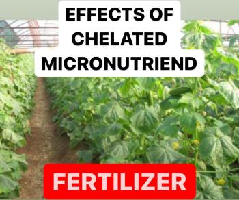 EFFECTS OF CHELATED MICRO NUTRIENTS | BENEFITS