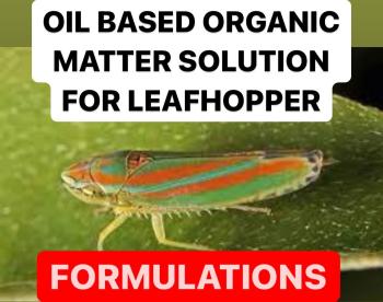 PRODUCTION OF OIL BASED ORGANIC MATTER SOLUTION FOR LEAFHOPPER &PLANTHOPPER