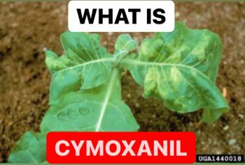 WHAT IS CYMOXANIL | PROPERTIES OF CYMOXANIL