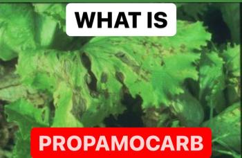 WHAT IS PROPAMOCARB HCL | DEFINITION OF PROPAMOCARB HCL