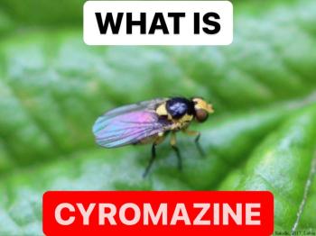 WHAT IS CYROMAZINE | PROPERTIES OF CYROMAZINE | INSECTICIDE