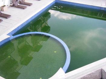Composition And Compound of Algae inhibitor solution for swimming pools