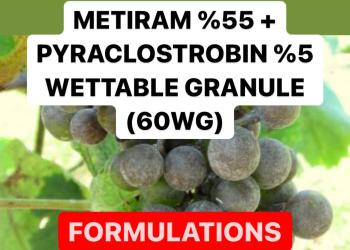 METIRAM % 55 + PYRACLOSTROBIN % 5 WETTABLE GRANULE ( 60 WG ) FUNGICIDE PRODUCTION PROCESS