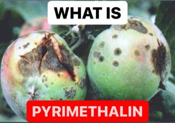 WHAT IS PYRIMETHALIN | DEFINITION OF PYRIMETHALIN