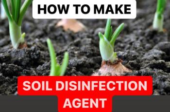 HOW TO MAKE SOIL DISINFECTION AGENT | PRODUCTION PROCESS