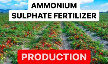 AMMONIUM SULPHATE FERTILIZER PRODUCTION | FORMULATIONS